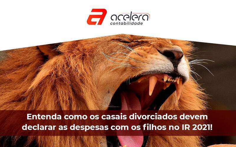 Entenda Como Os Casais Divorciados Devem Declarar As Despesas Com Os Filhos - Acelera Contabilidade