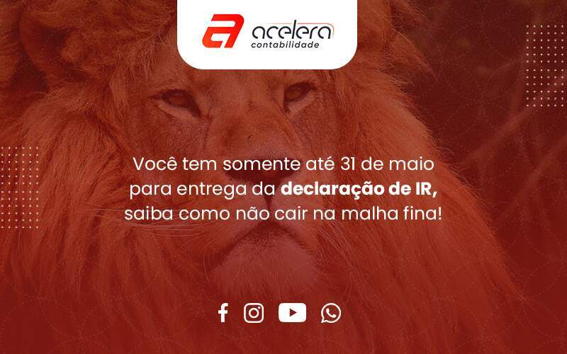 Imposto De Renda Como Não Cair Na Malha Fina - Acelera Contabilidade